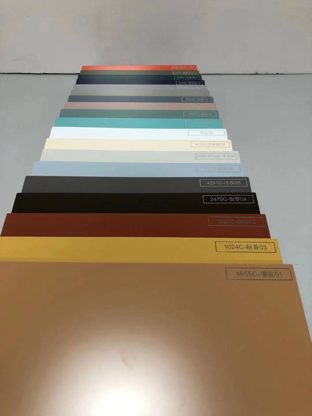 关于我和鬼变成家人的那件事