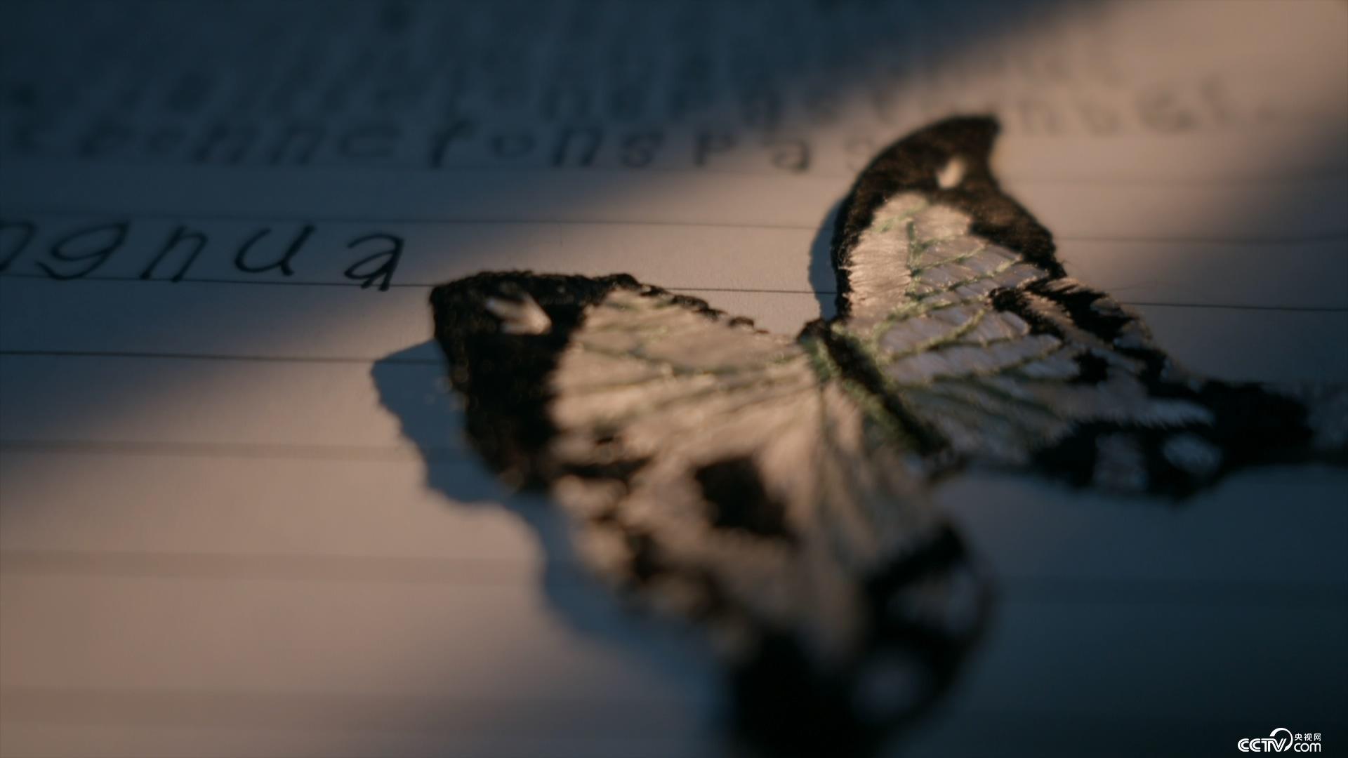 关于我和鬼变成家人的那件事