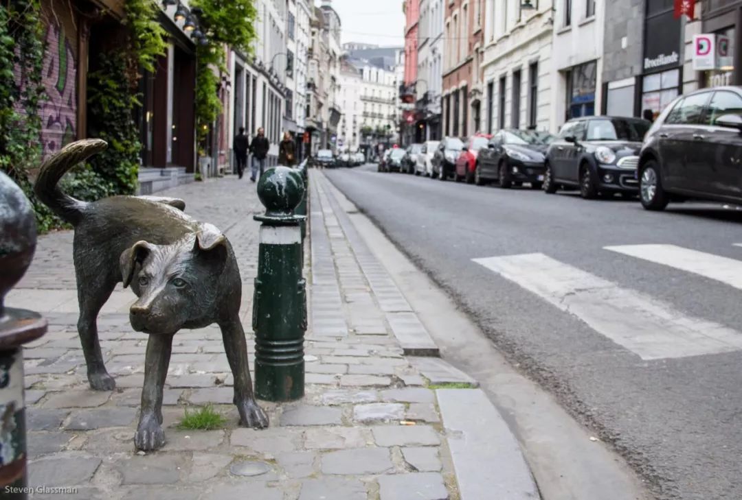 兵荒马乱的爱情