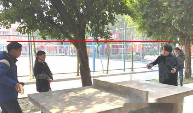 养蜂人 （英语版）