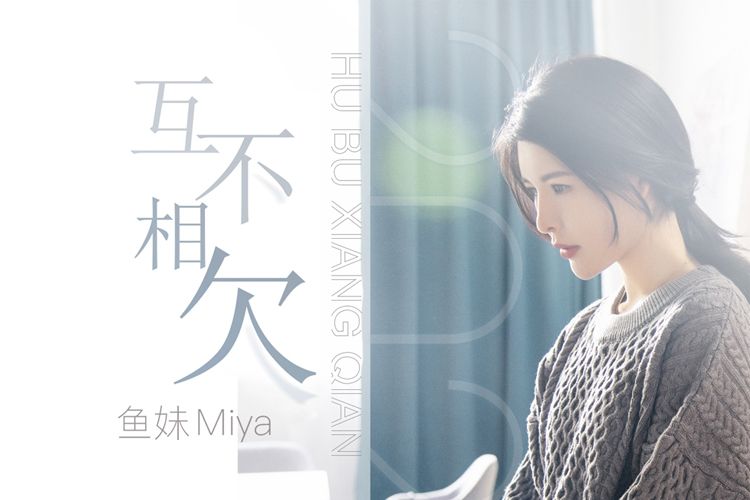 光荣之路上的狗