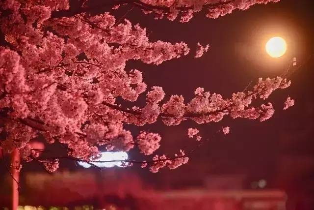 关于约会的一切