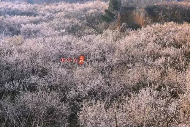 兵王之绝境狙杀