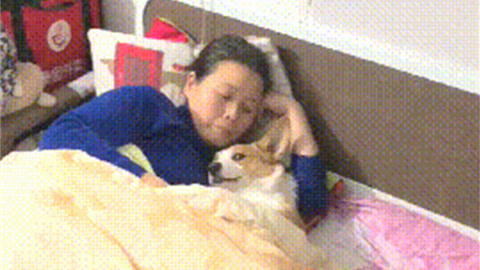 全面失控：私家侦探妈妈