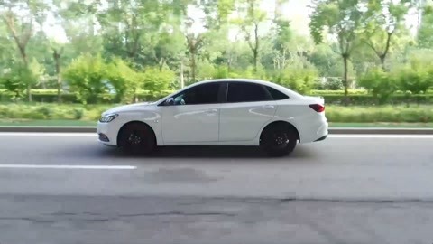 公鸡母鸡拖拉机