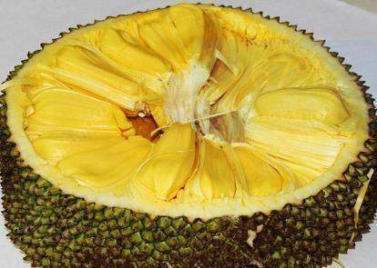 兴安岭猎人传说2