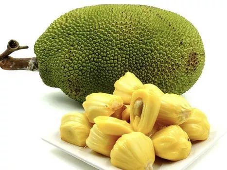 八月桂花遍地开